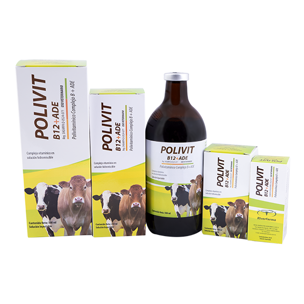 Polivit B 12 + ADE Frasco con 500 ml